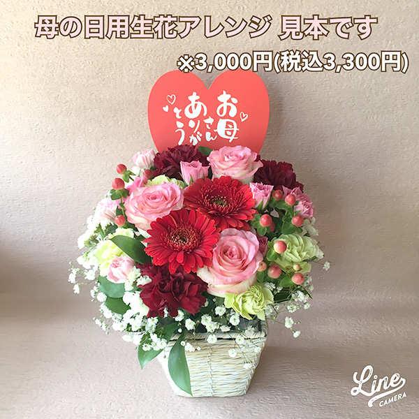お花の種類と目安料金について 花と緑と雑貨のお店 アトリエ花子