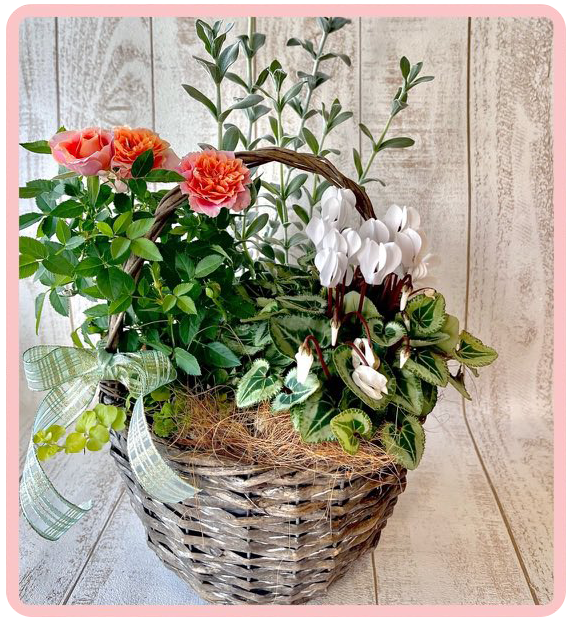 季節の寄植え教室
