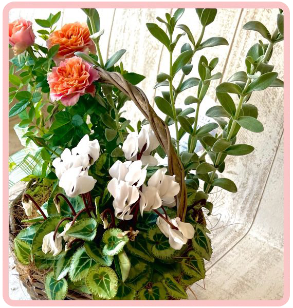季節の寄植え教室